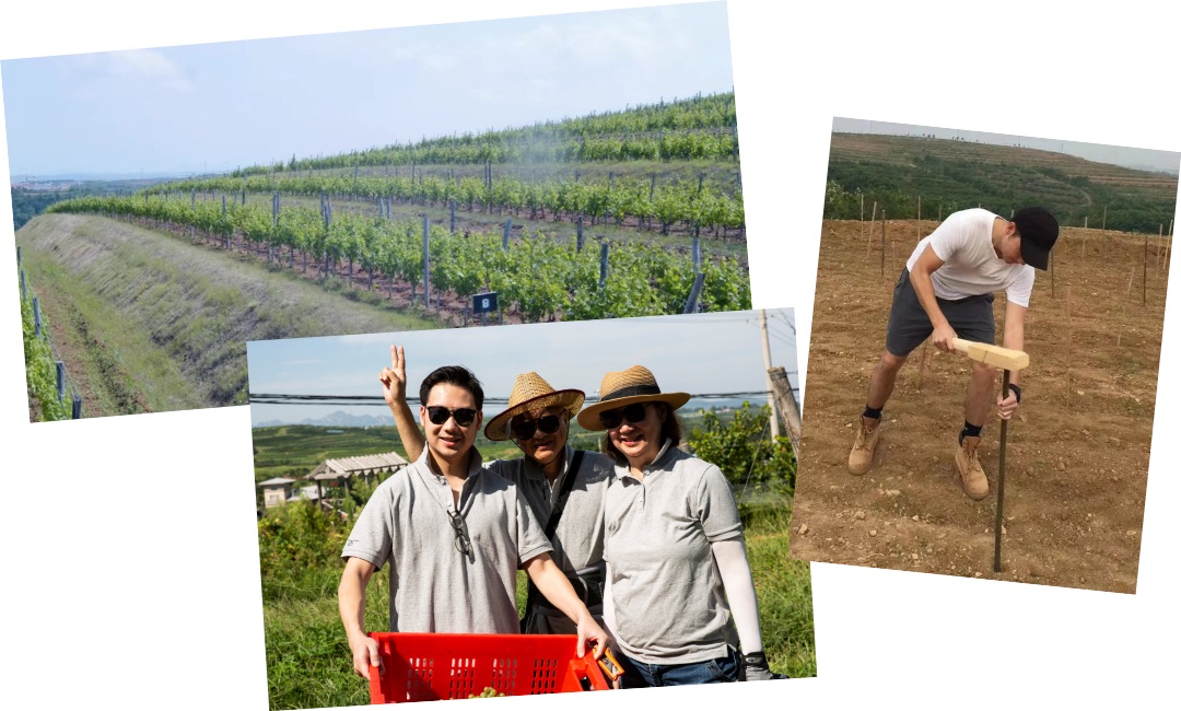 Concordia-Shanghai-Alumni-Story-Arthur-Yeung-3